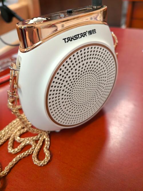 得胜KA-E10 vs 飞利浦SPA331 深度对比