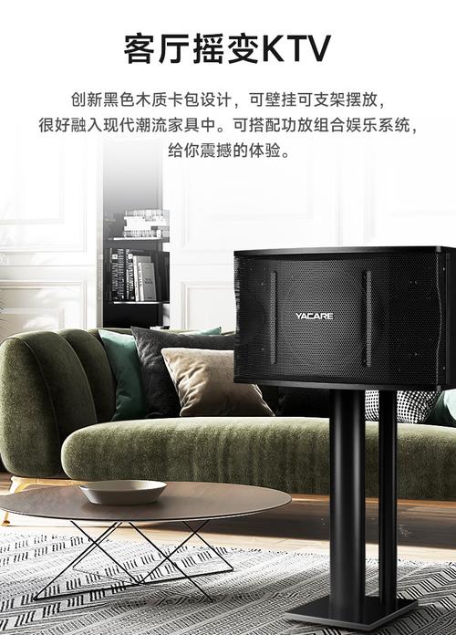 雅桥卡拉OK音箱性能