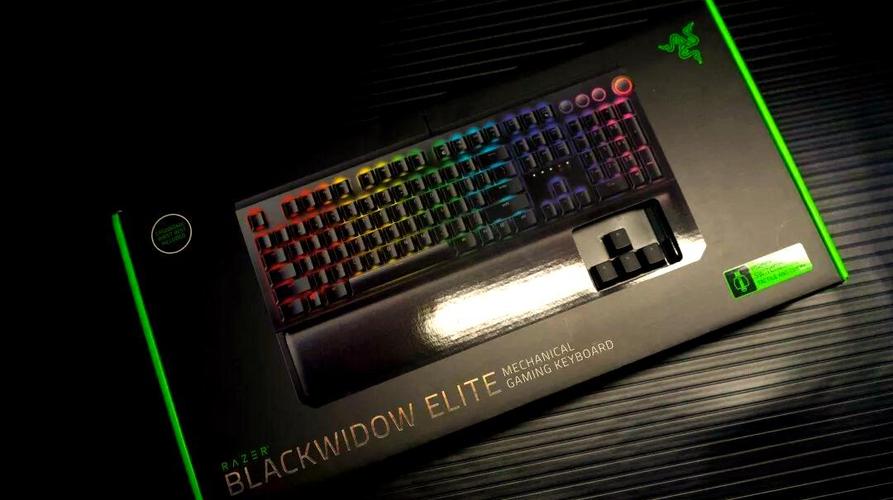 雷蛇黑寡妇蜘蛛精英版 vs ROG游侠2 RX 98 蓝轴深度对比