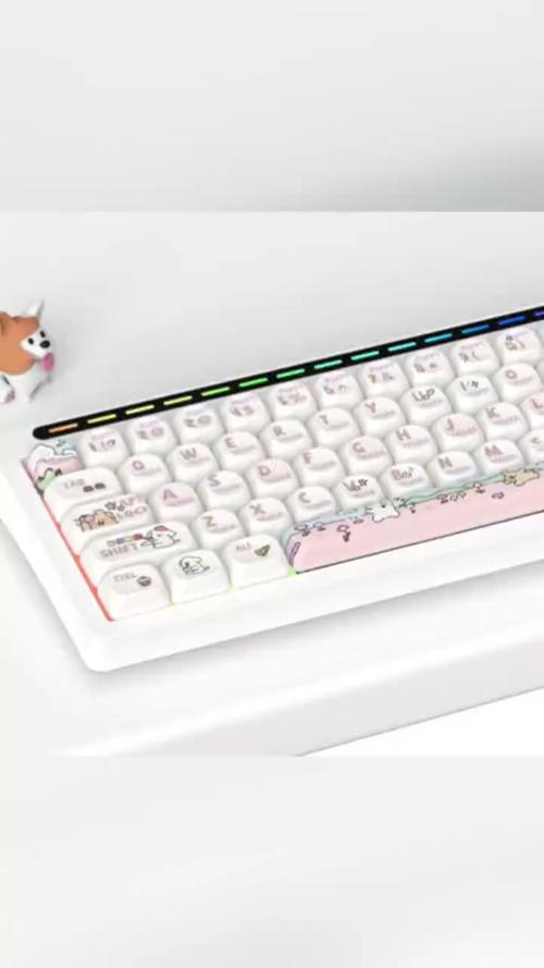 reccazr R102线条小狗 vs 优派KU520升级版 深度对比