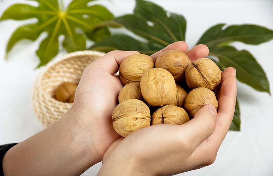 鑫谷坚果1号购买建议