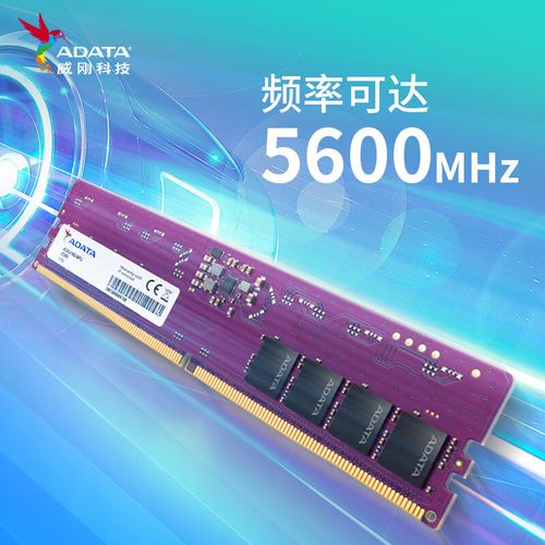 DDR5内存规格参数展示