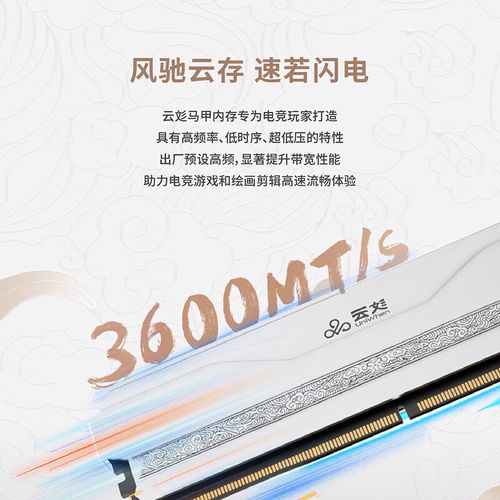 计算机硬件购买建议内存展示