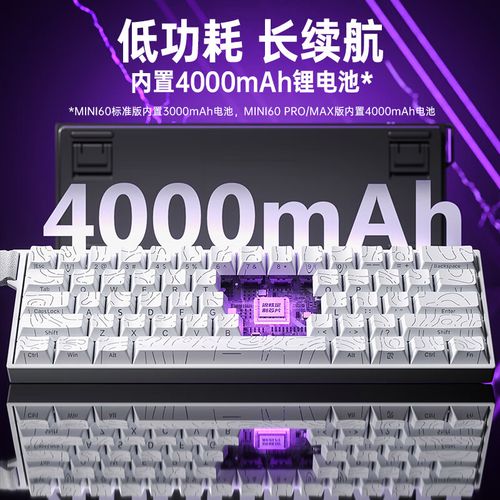 狼蛛MINI 60HE Pro游戏场景