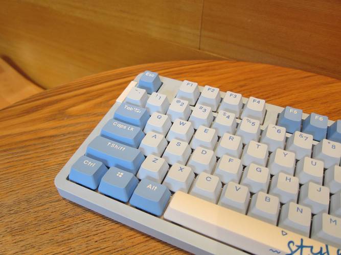 达尔优A87 ESPORTS轴体特写