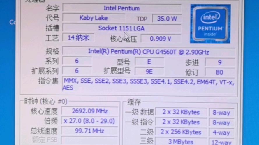 Computer processor with many pins close-up