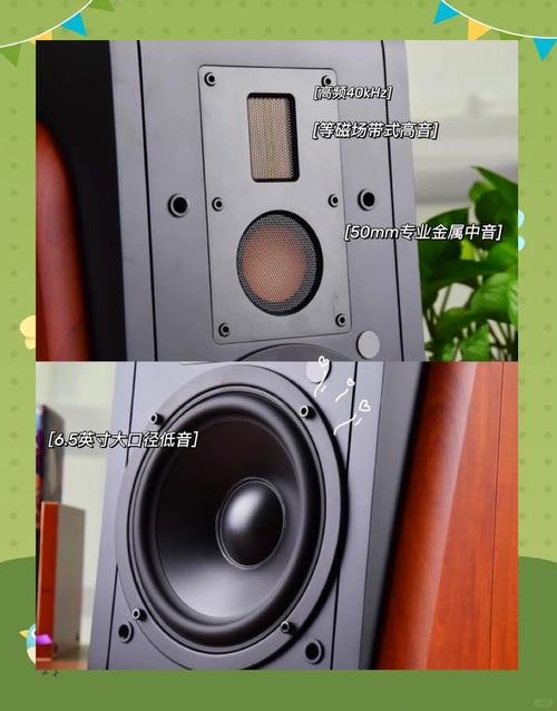 HiFi音箱核心驱动单元展示