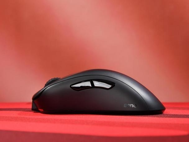 Gamer holding a mouse