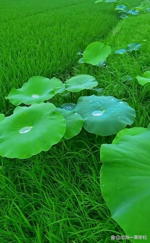 硬盘选购参考