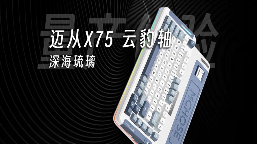 迈从X75 vs 雷柏E9050L 深度对比:客制化与AI办公的对决