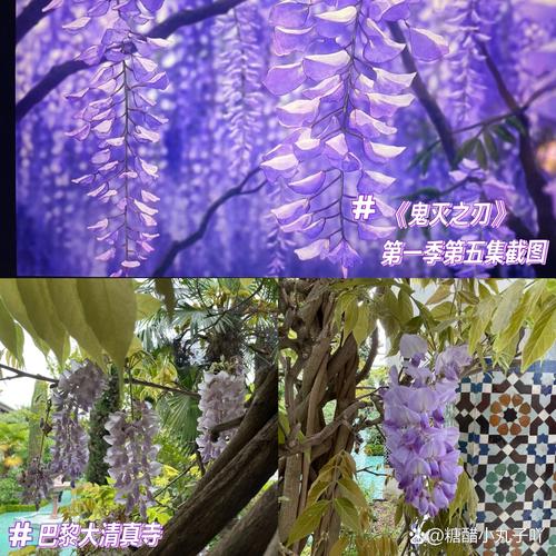 键盘规格对比示意图