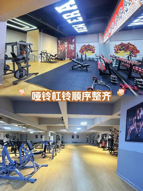 鼠标底部接口和开关