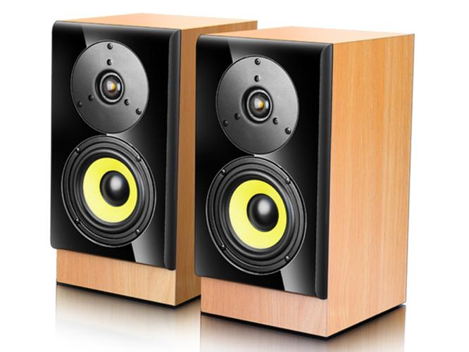 恩科FOCAL 1 vs 山水SG10-10 深度对比：室内书房 vs 户外广场