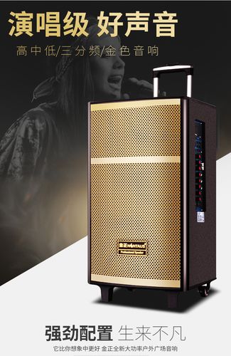 金正N20-10户外拉杆音箱评测：450W大功率与10英寸低音的震撼之旅