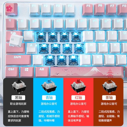 RGB背光樱花键盘桌面展示