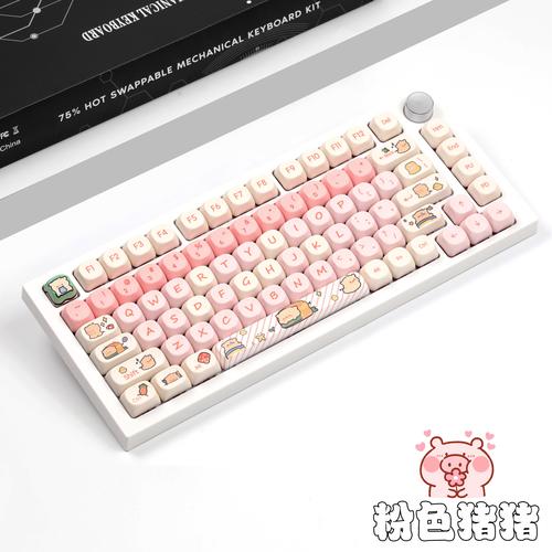 Mechanical keyboard internals showing hotswap sockets and switches