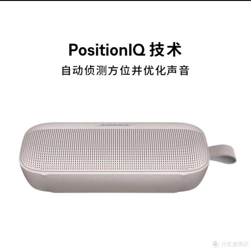 BOSE SoundLink Flex 充电接口