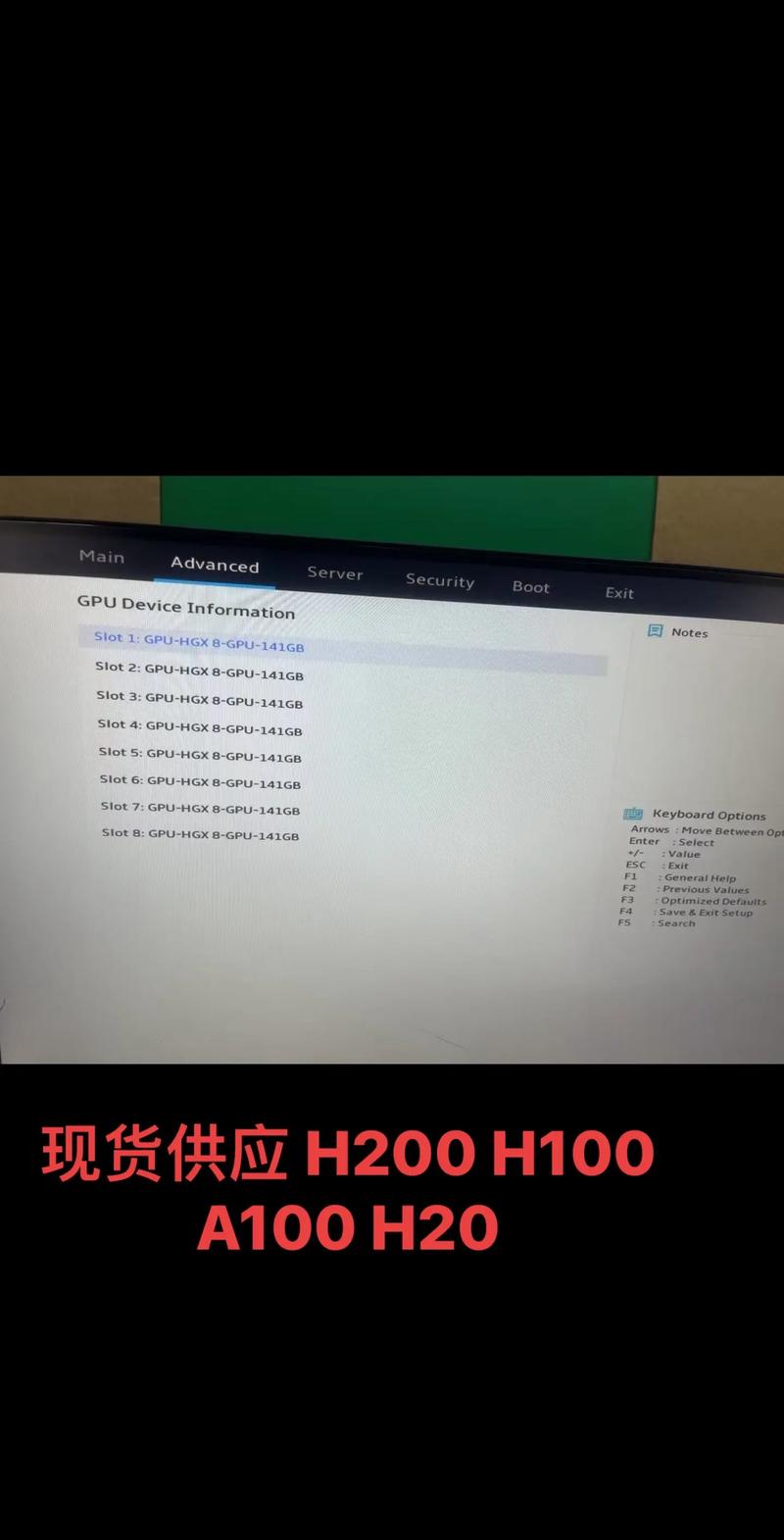 Hardware benchmark testing environment for enterprise SSD