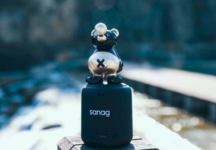 sanag X6S无聊熊联名款深度评测：萌趣外观与24小时长续航的便携蓝牙音箱