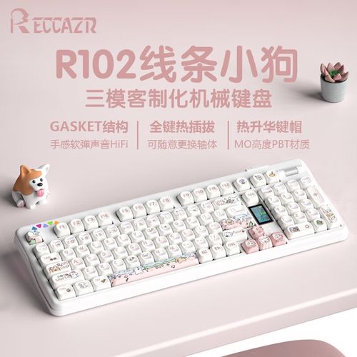 reccazr R102键盘显示屏和滚轮特写