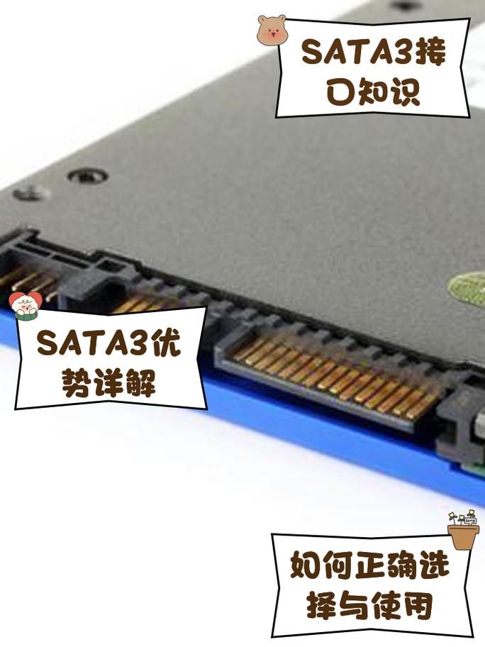 shopping for computer hardware