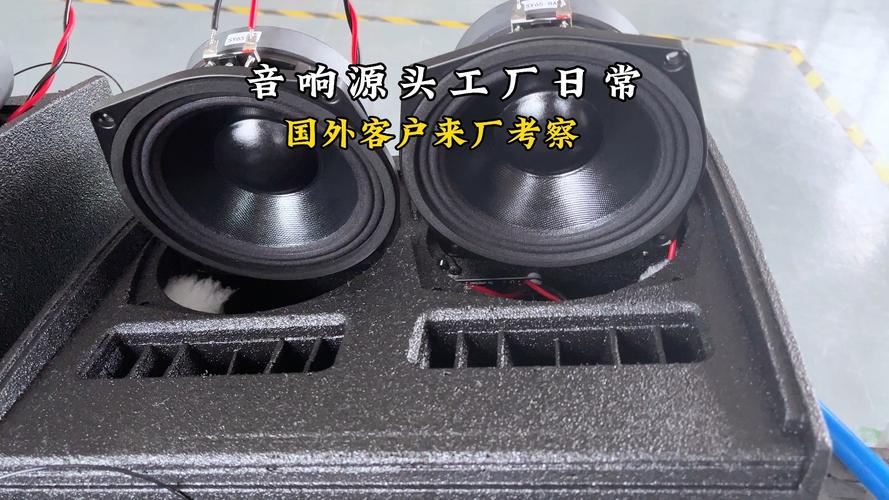 爵士龙LT-12低音单元特写