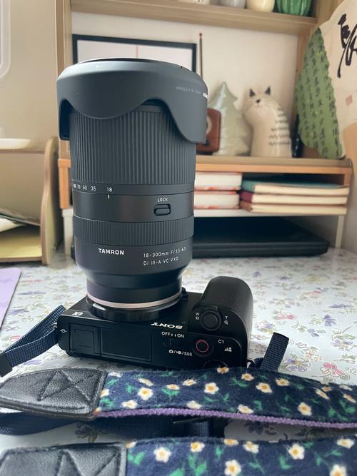 Buying advice for Huilong L118 and Philips SPA510X
