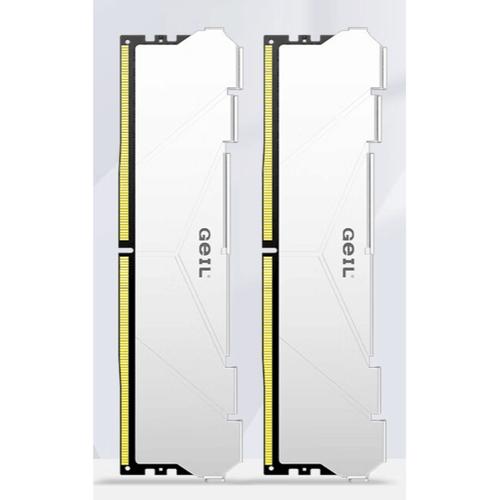 金邦巨蟹DDR5内存外观