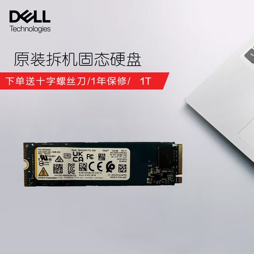 戴尔256G固态硬盘M.2外观图