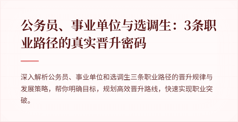 公务员、事业单位与选调生：3条职业路径的真实晋升密码