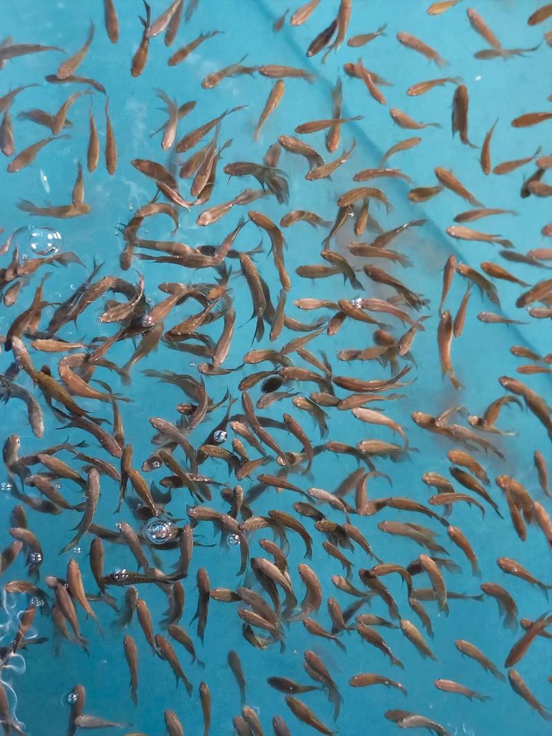 机箱性能测试