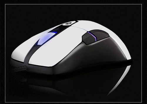 Gaming setup with mouse