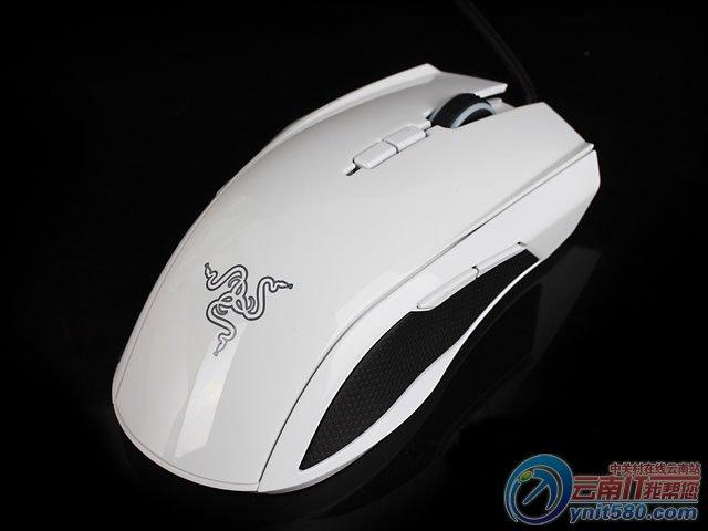 Person gaming with mouse
