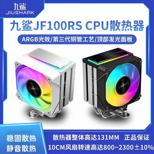 Computer cooling system