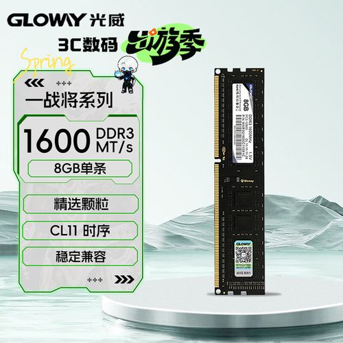 内存颗粒和散热片细节