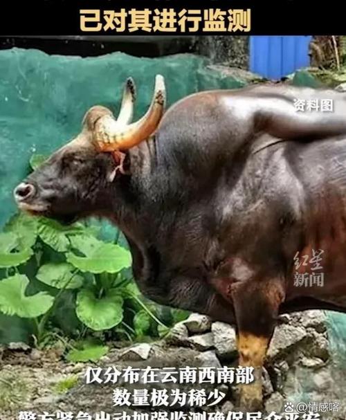 机箱散热性能测试