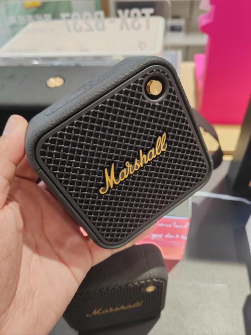 Marshall WILLEN 户外使用