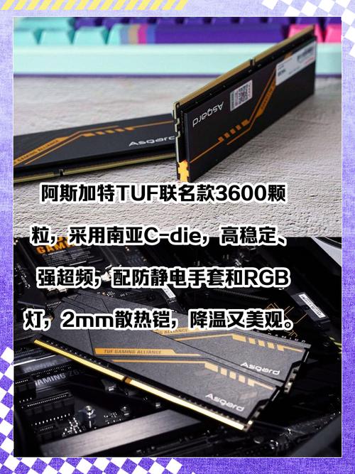 内存性能基准测试