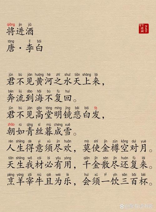 规格对比示意图