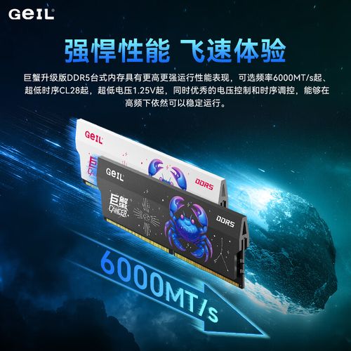 DDR5内存模块技术参数展示