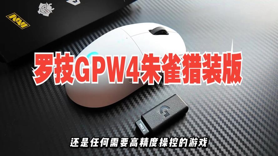 罗技SPW4朱雀游戏场景