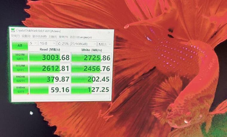 SSD 主控芯片特写