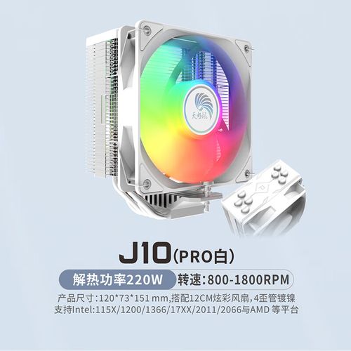 价格对比分析