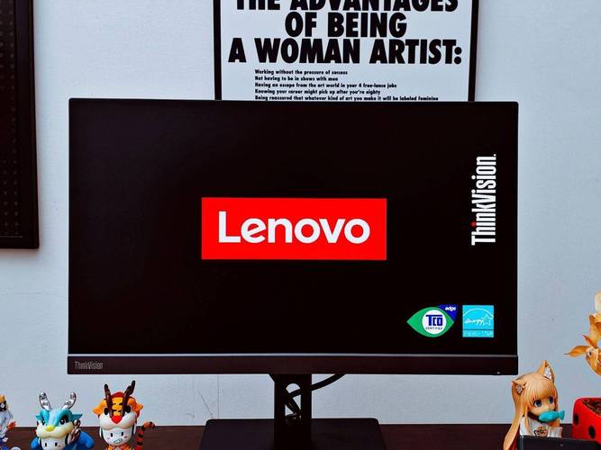 联想ThinkVision S23i-20深度评测:护眼商务办公的性价比之选