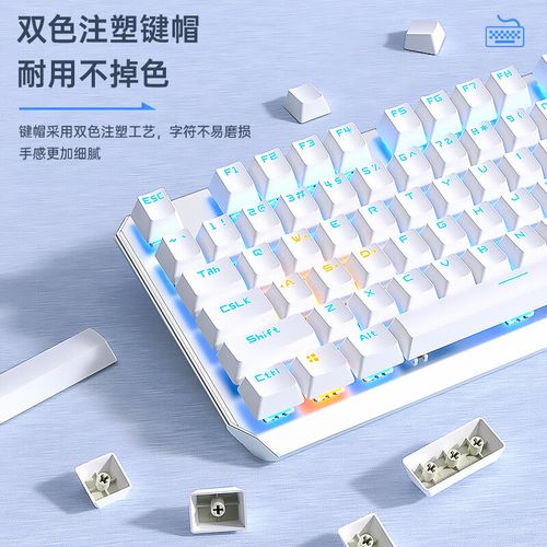 键盘轴体特写