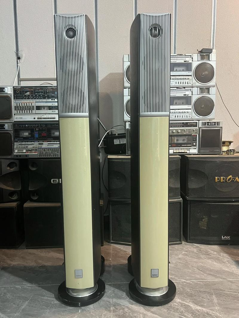 爱浪DX10-12喇叭单元特写