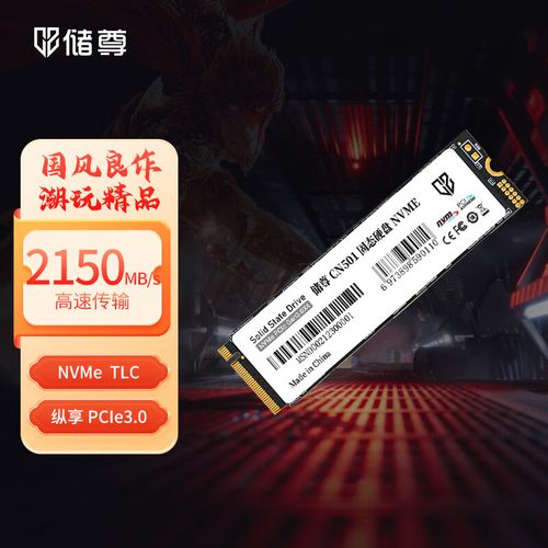 储尊CN501固态硬盘外观