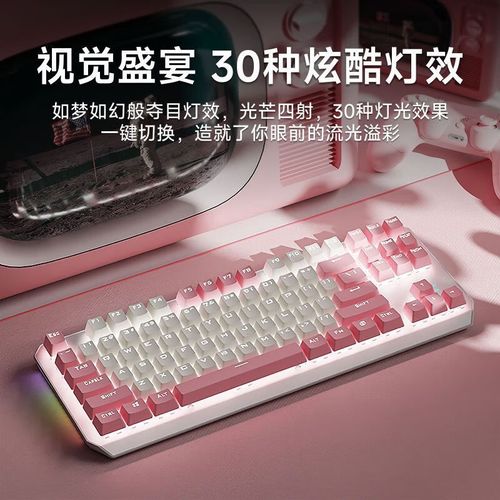 购买建议与选择