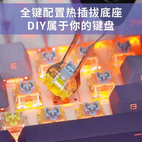 购物建议