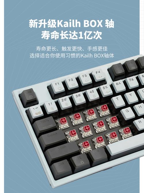 机械键盘侧面与掌托展示